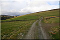 Track up Glen Ogil