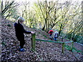 Descending Coppet Hill 3