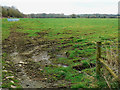 Pasture between Tockenham and Bushton