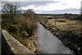 Lunan Water near The Grange, looking upstream