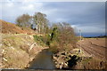 Lunan Water near The Grange, looking downstream