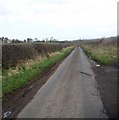 Country road in the Borders