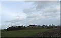 Looking over grazing land with Caldra Farm beyond