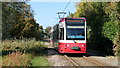 Tram Near Phipps Bridge