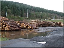 NS2173 : Log pile at Bankfoot by Thomas Nugent