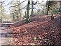 SP8808 : The Woodland Track on the north side of Boddington Banks by Chris Reynolds