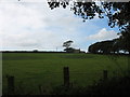 Farmland and cottage north of the hamlet of Tregaian