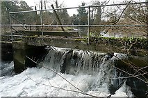 SU6066 : Weir at Padworth Mill by Graham Horn
