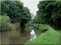 SJ9316 : Staffordshire and Worcestershire Canal south of Acton Trussell by Roger  D Kidd
