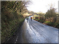 Cyclists descending