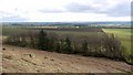 Plantation south of Moralees Crag, Ingoe