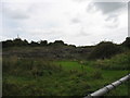 Disused limestone quarry