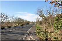 TM0428 : A137, Colchester Road, Ardleigh by MJ Reilly