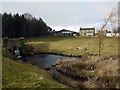 Waterfall and pond below bridge, Birneys