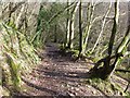 Bridleway descends toward Sawdde Fechan valley floor