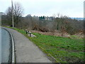 Bench by Ballfield Lane