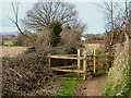 Footpath through the Meads, Bridgwater