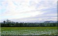 Fields near Totnell