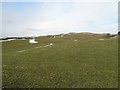 SD5492 : Grassland, Hay Fell by Richard Webb