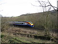 Railway Line alongside Wyver Lane