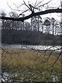 The Boathouse on Whitmuirhall Loch