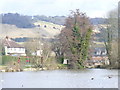 Mill Pond, Dorking