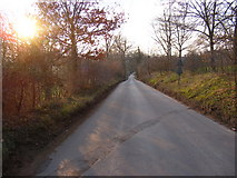 TM2348 : Hall Farm Road, Great Bealings by Geographer
