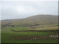 Grazing lands near Newburgh