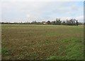 Stubble in the fields - Clay Farm