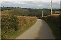 Country road near Filleigh