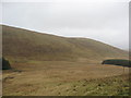 A view over rough grazing lands in the Borders