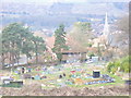 Allotments  by Tower Hill