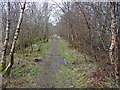 NG4148 : The old road at Skeabost by John Allan