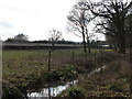 Railway embankment alongside footpath near North Heath