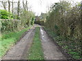 Footpath and track near Marringdean House