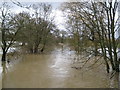 River Mole at Kinnersley Manor