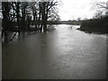 River Mole at Kinnersley Manor