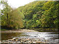 Bend in the River Swale