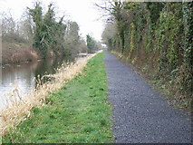 N9537 : Royal Canal at Railpark, east of Maynooth, Co. Kildare by JP