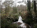 Bourne Valley Nature Reserve, the Bourne