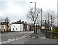 Zebra on Stockport Road