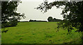 Mid Devon : Countryside