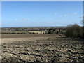 Looking Towards Charlton Court