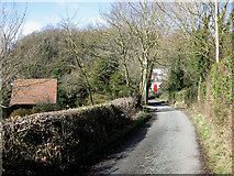 SO5834 : Common Hill Lane by Pauline E