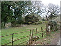 Erratic boulder, near Ellimore