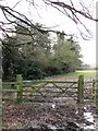 The Shire Hedge (Bucks/Herts boundary at Tring)