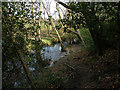 Ringway Footpath by Oak Beck