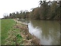 Bank of the Stour near Shapwick