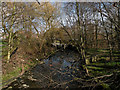 Jenny Field Drive bridge over Oak Beck