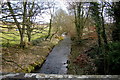 Brothock Burn looking downstream